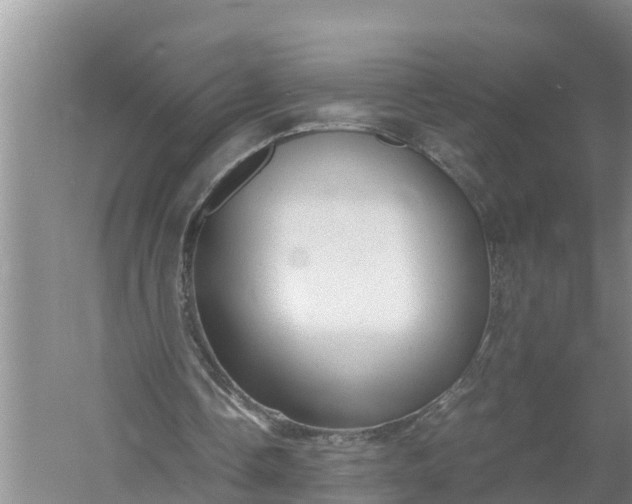 X0000058130338200510072011