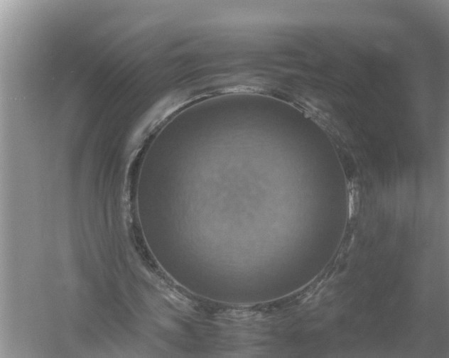 X0000058130339200510072011