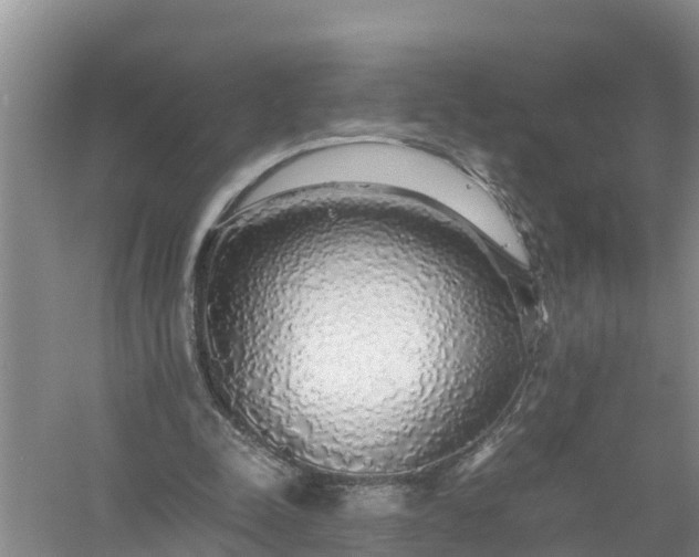 X0000058130342200510072011