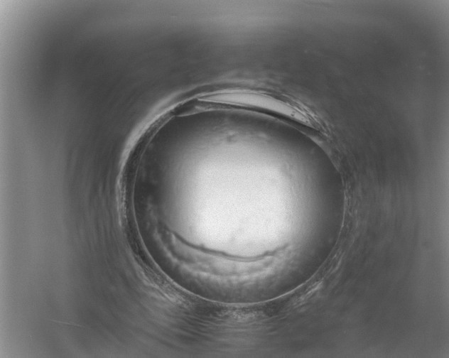 X0000058130343200510072011