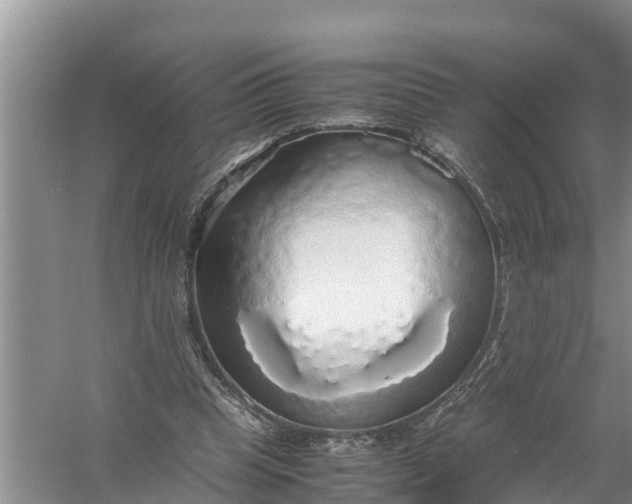 X0000058130345200510072011