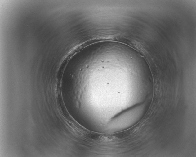 X0000058130346200510072011