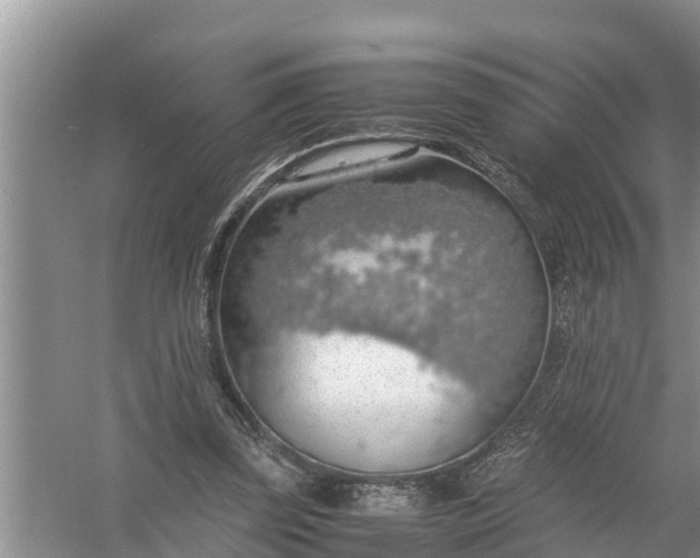 X0000058130347200510072011