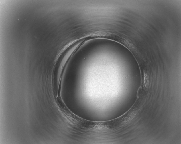 X0000058130348200510072011