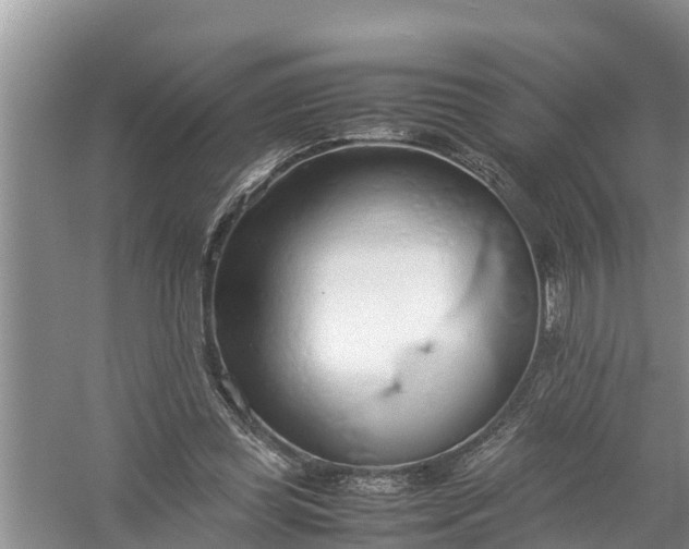 X0000058130349200510072011