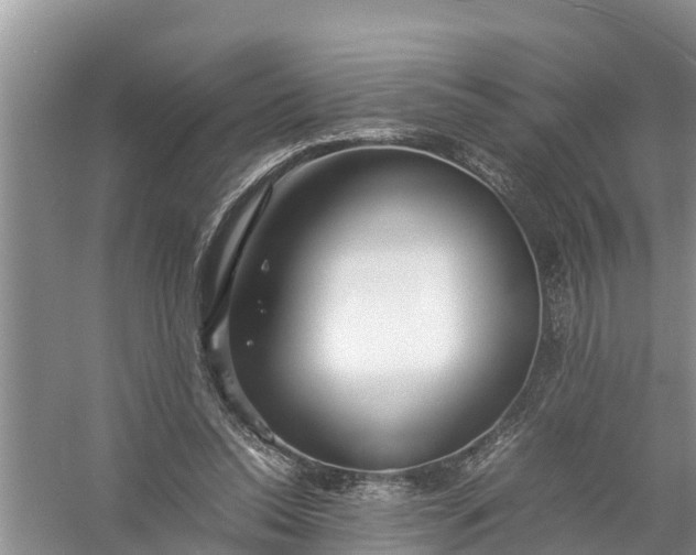 X0000058130350200510072011