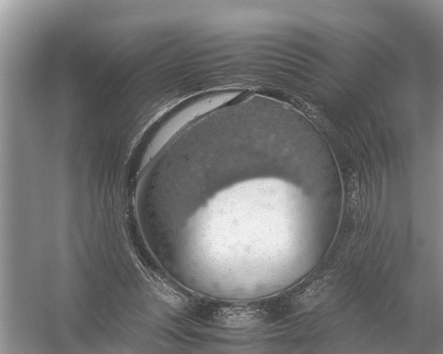 X0000058130351200510072011