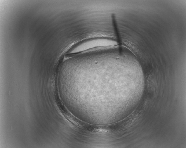 X0000058130352200510072011