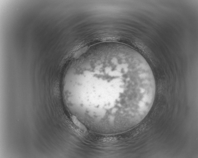 X0000058130353200510072011