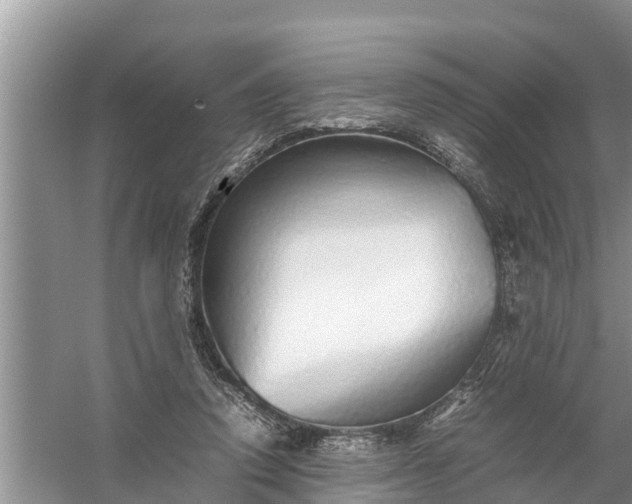 X0000058130354200510072011