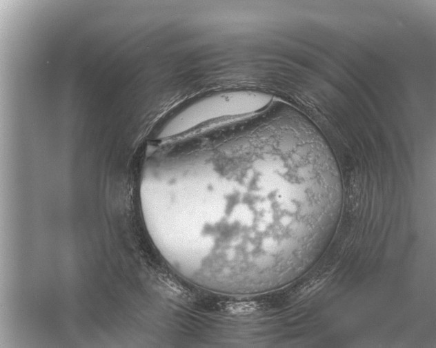 X0000058130355200510072011