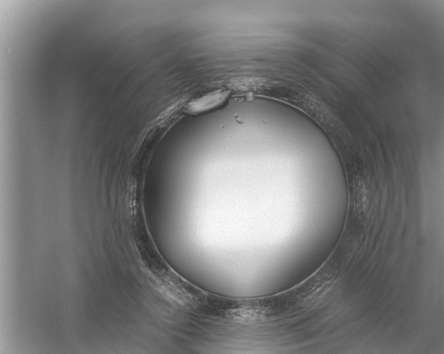 X0000058130356200510072011