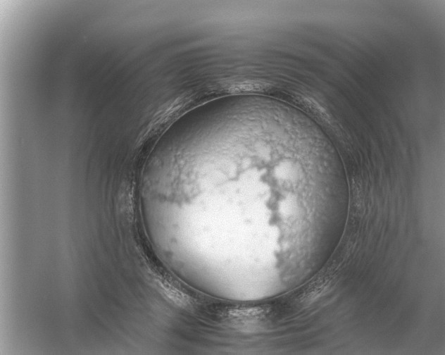 X0000058130357200510072011