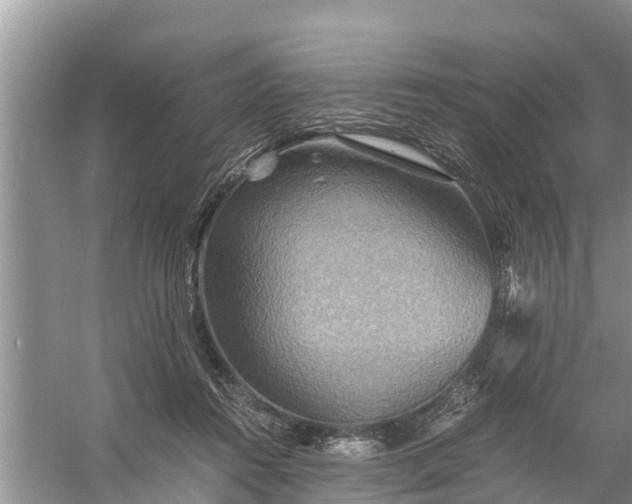 X0000058130360200510072011