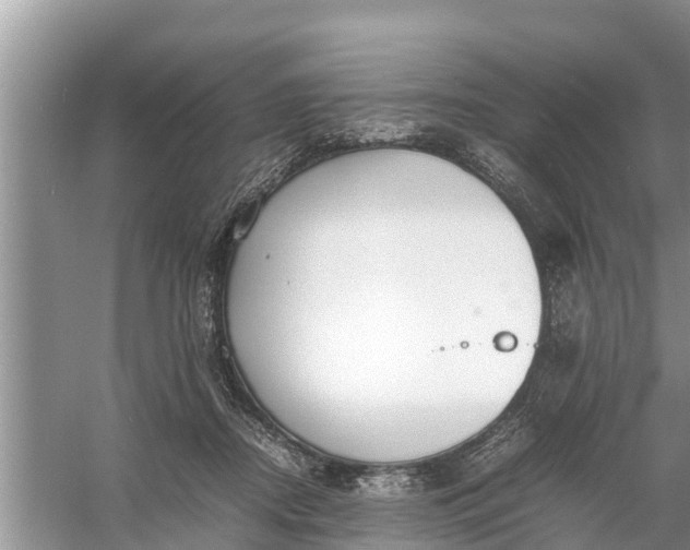 X0000058130362200510072011