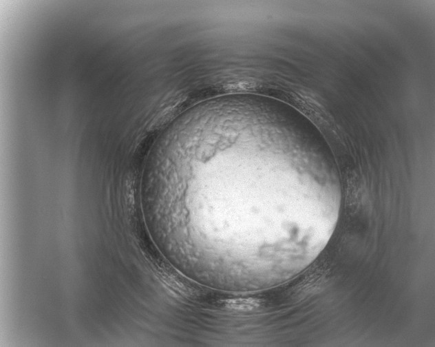 X0000058130363200510072011