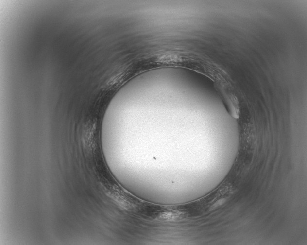 X0000058130364200510072011