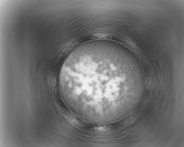 X0000058130365200510072011