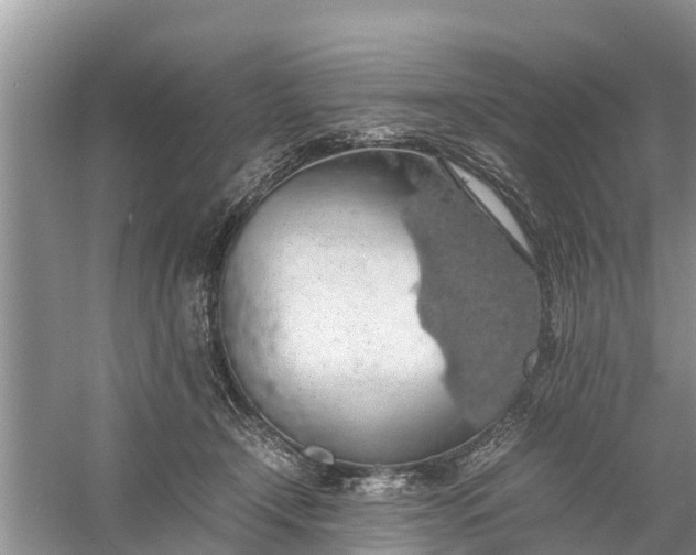 X0000058130366200510072011