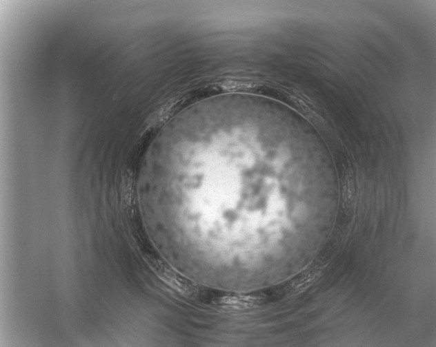 X0000058130367200510072011