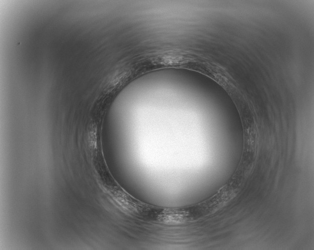 X0000058130368200510072011