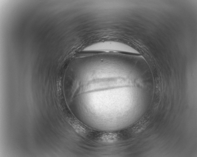 X0000058130369200510072011