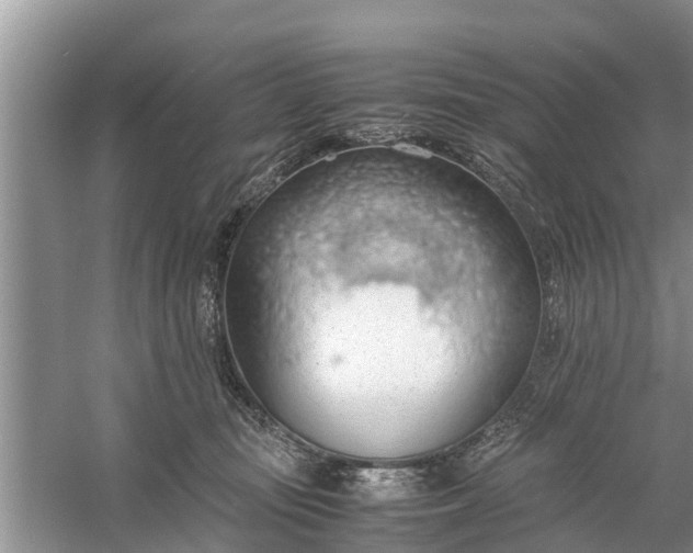 X0000058130371200510072011