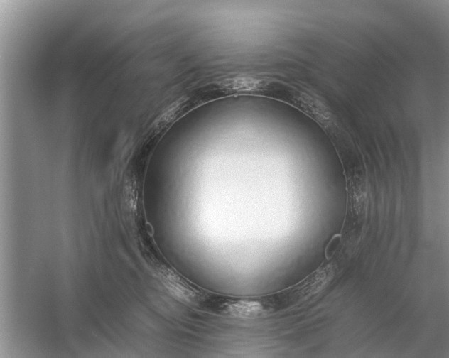 X0000058130374200510072011