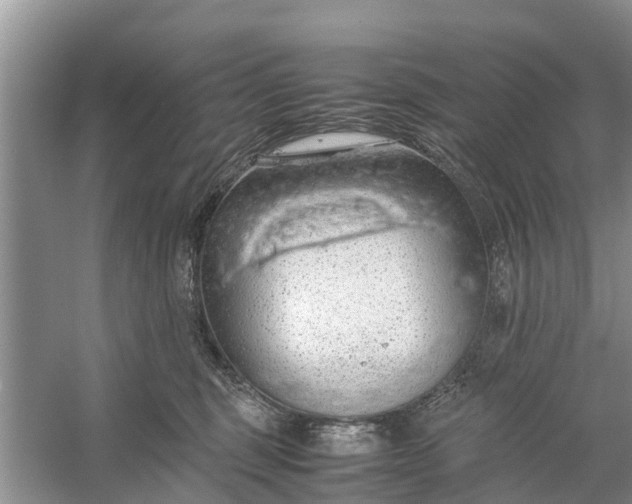 X0000058130375200510072011