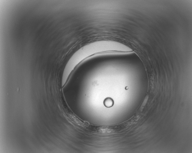 X0000058130376200510072011