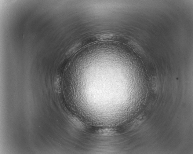 X0000058130378200510072011