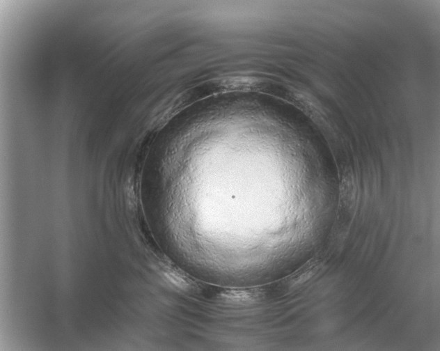 X0000058130381200510072011