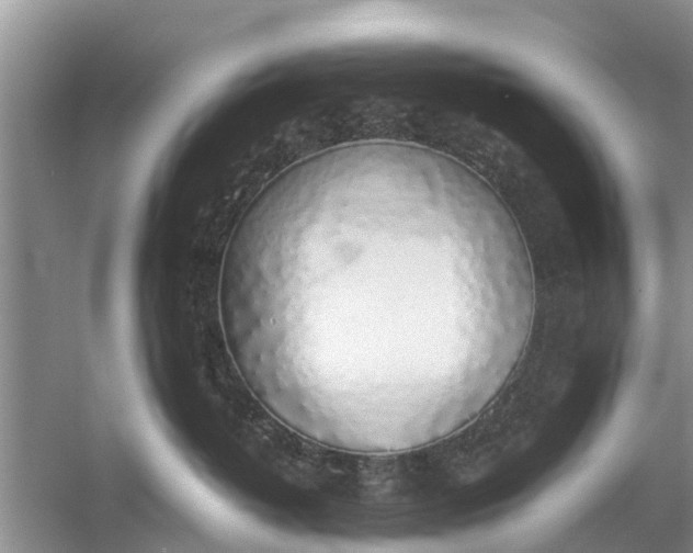 X0000058130382200510072012