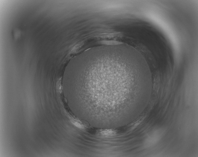 X0000058130383200510072012