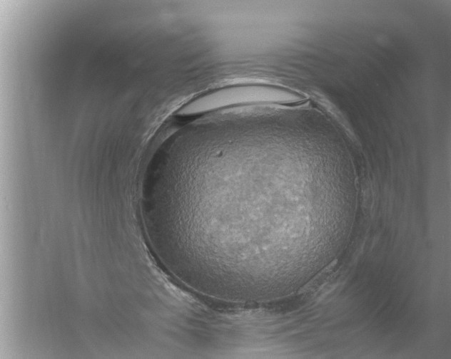 X0000058130385200510072011