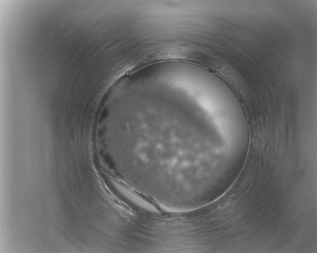 X0000058130386200510072011