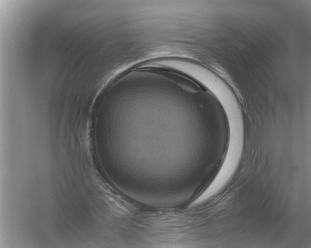 X0000058130387200510072011