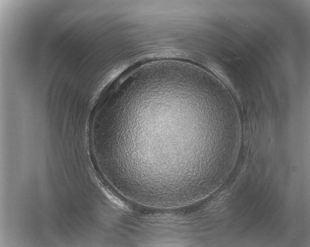 X0000058130389200510072011