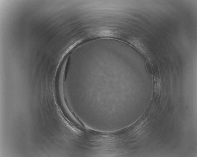 X0000058130390200510072011