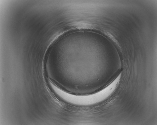 X0000058130391200510072011