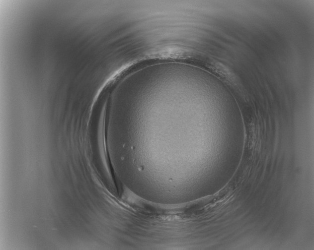 X0000058130392200510072011