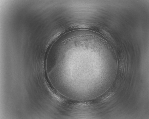 X0000058130394200510072011