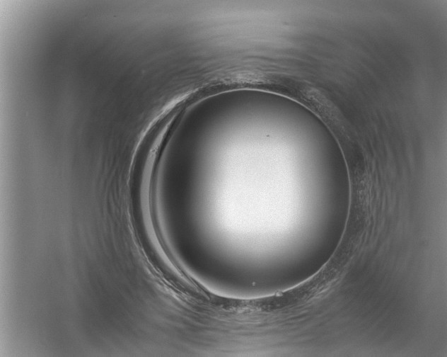 X0000058130395200510072011