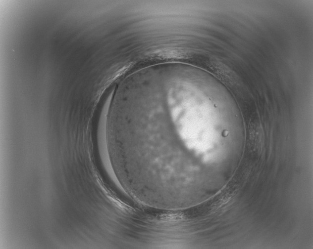 X0000058130398200510072011