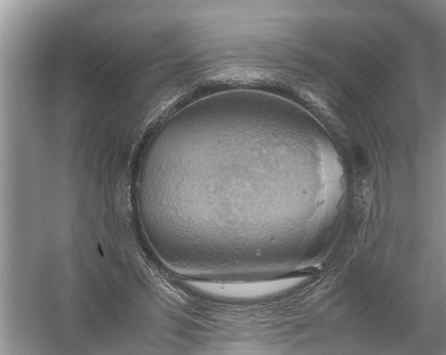 X0000058130399200510072010