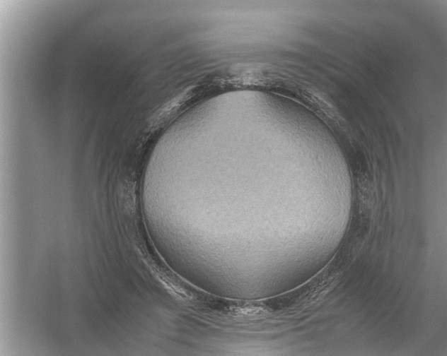 X0000058130401200510072010