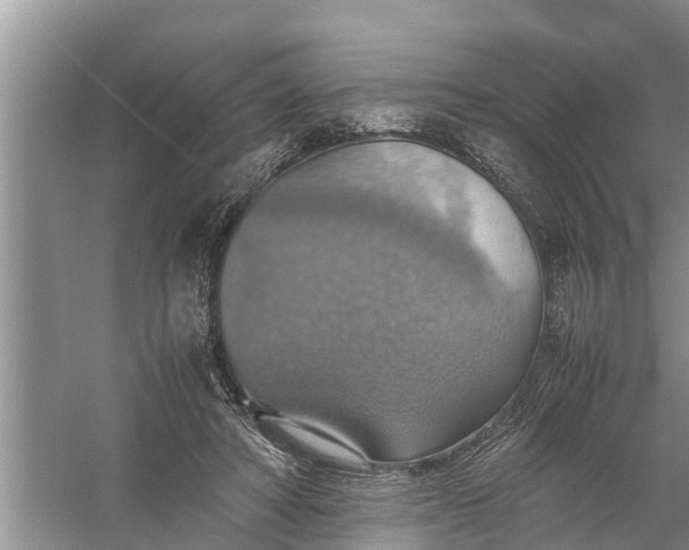 X0000058130402200510072010