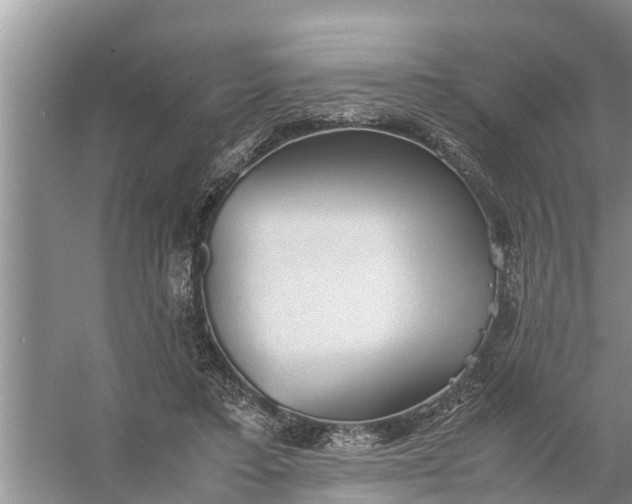 X0000058130403200510072010