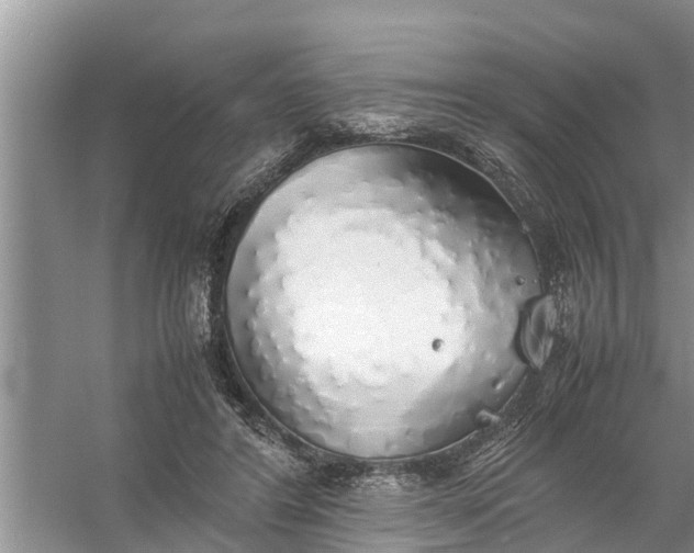 X0000058130404200510072010