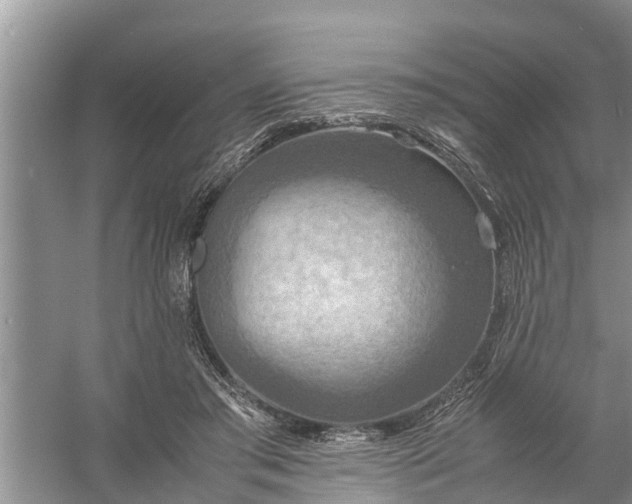 X0000058130405200510072010